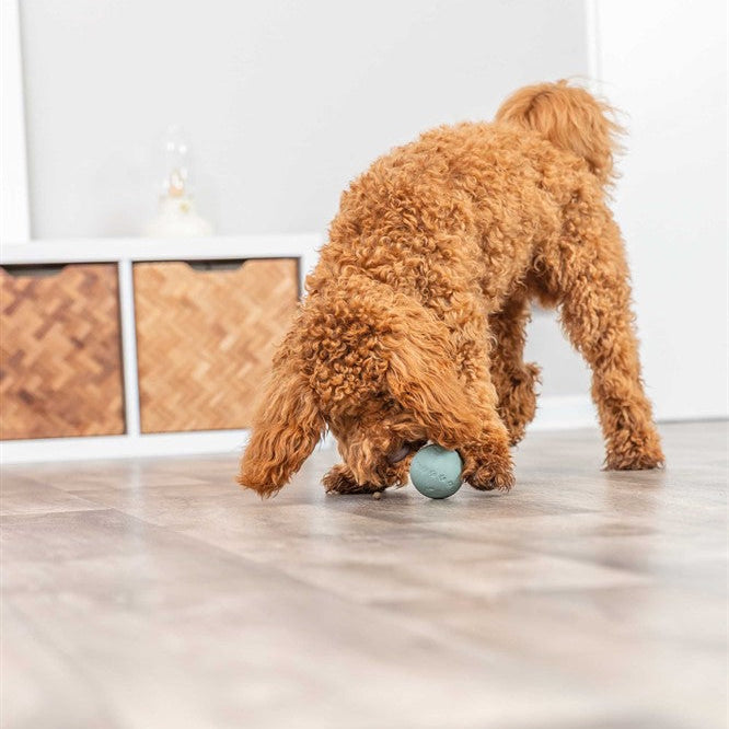 Trixie - Snacksboll, naturgummi, labyrint, ø 6 cm, grön