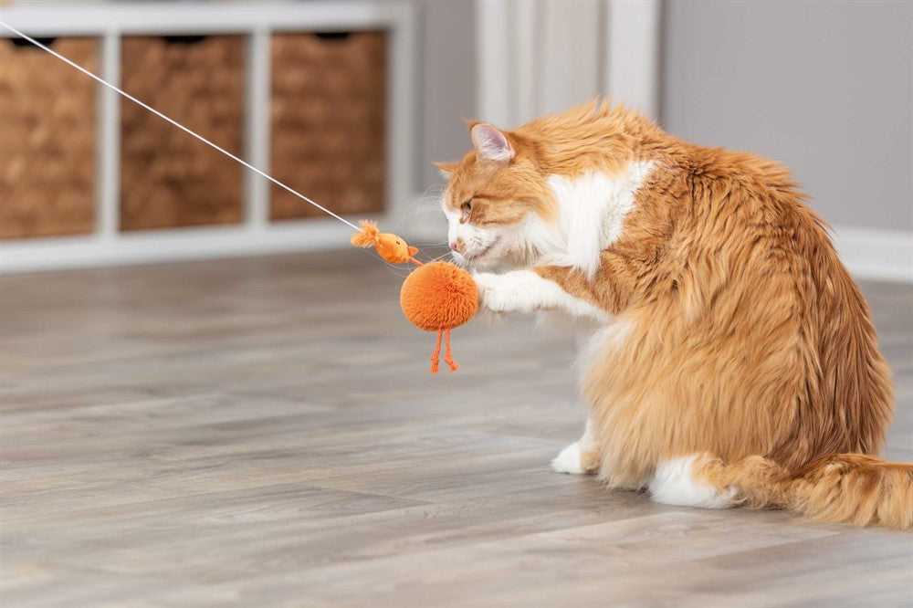 Trixie - Kattleksak Plyschkyckling på elastiskt band 20 cm