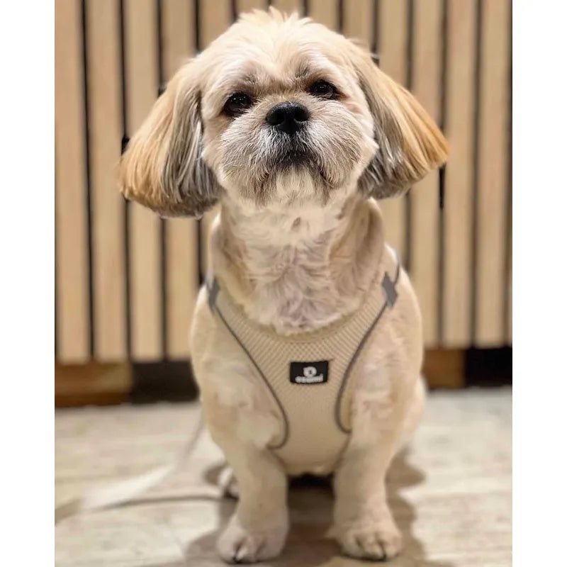 Ozami - Air-mesh Harness, Beige sele. Small