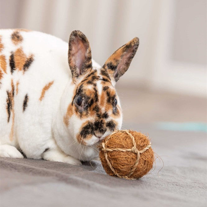 Trixie - Kokosnötsboll, ø 6 cm