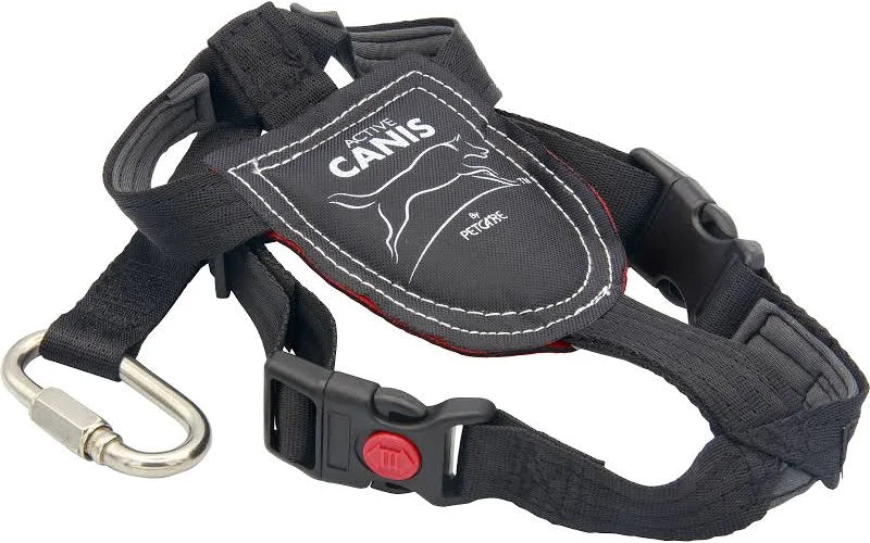 Activ Canis Bilsele, visning