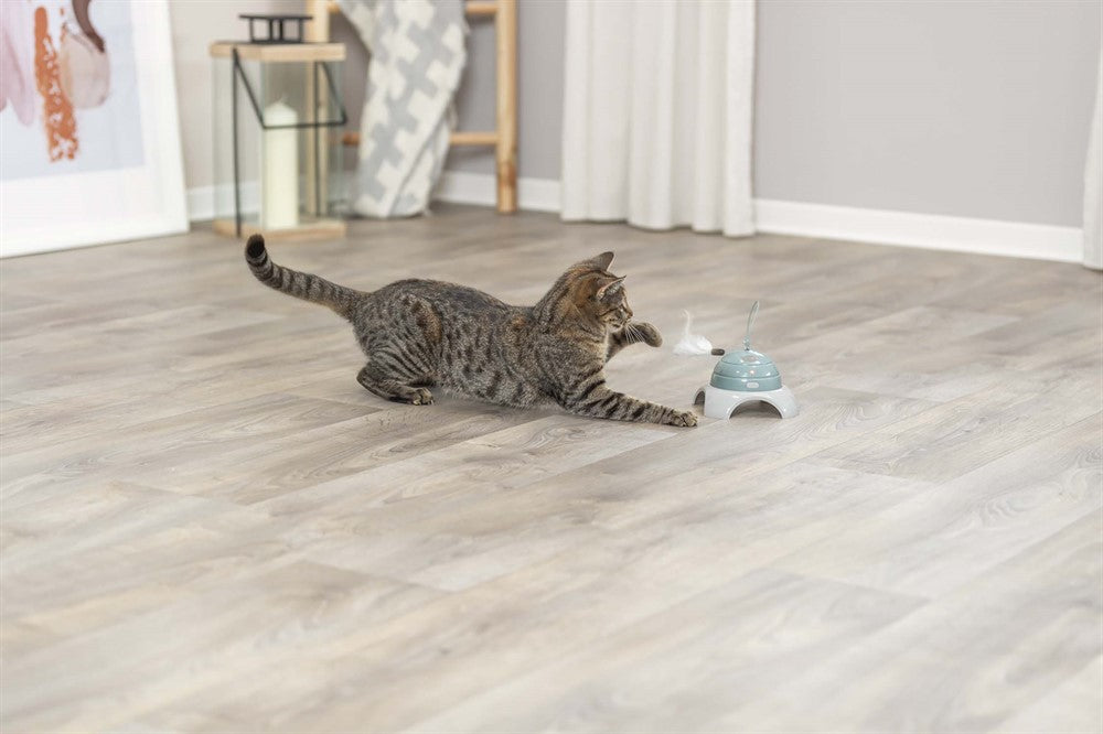 Trixie Kattleksak, aktivitet