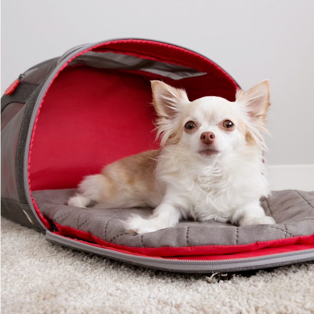 Kong 2-1 pet carrier & travel mat 51*23*33 cm
