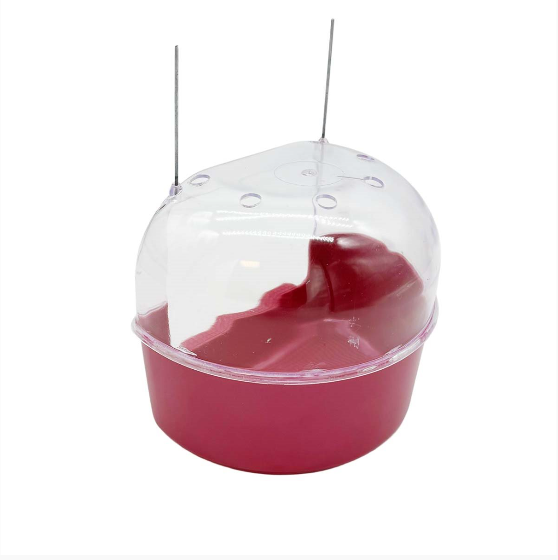 Akita - Fågel Badkar, Mixade färger