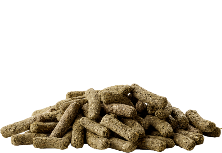 Versele-Laga - Chinchilla & Degu 500g