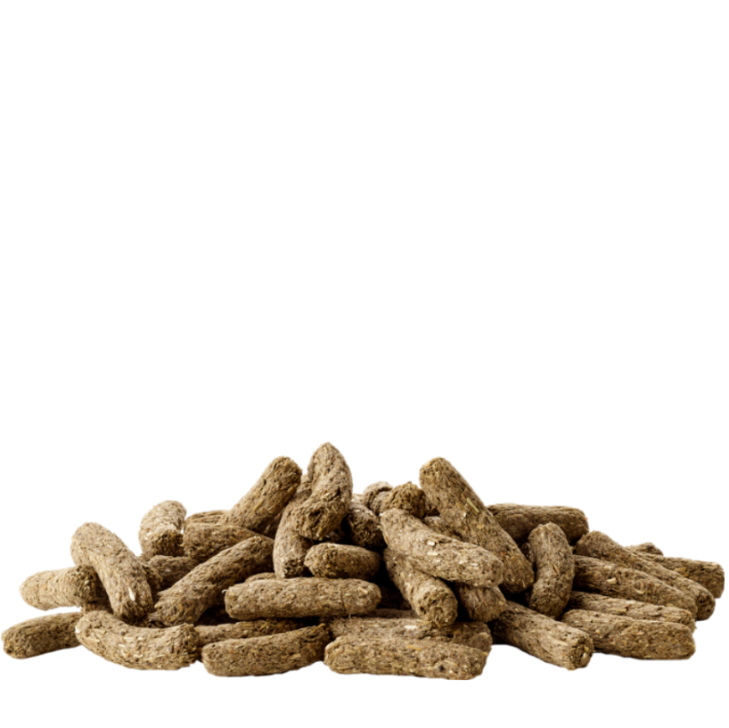 Versele-Laga - Cuni Vuxen Kanin