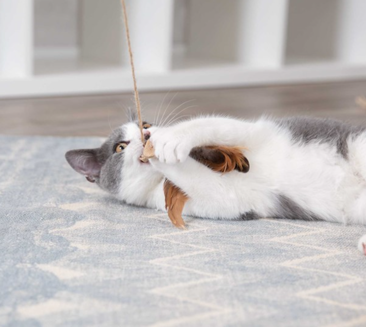 Trixie - Kattvippa med fjäril/fjäder, catnip, 45 cm