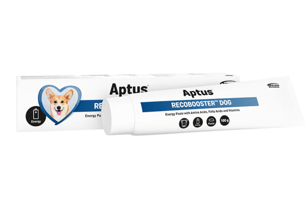Aptus - Recobooster dog 100g