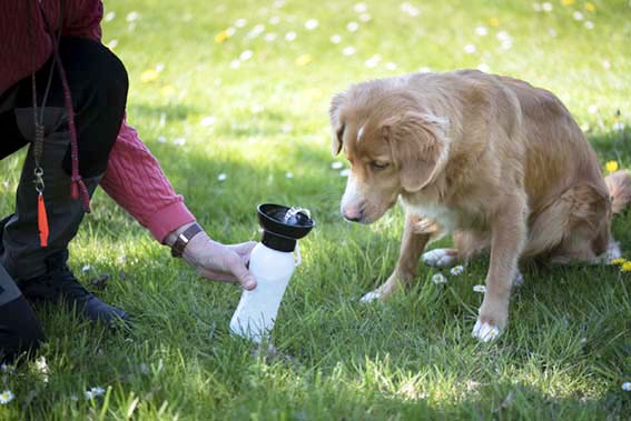 Trixie - Flaska med skål, plast, 0.55 l