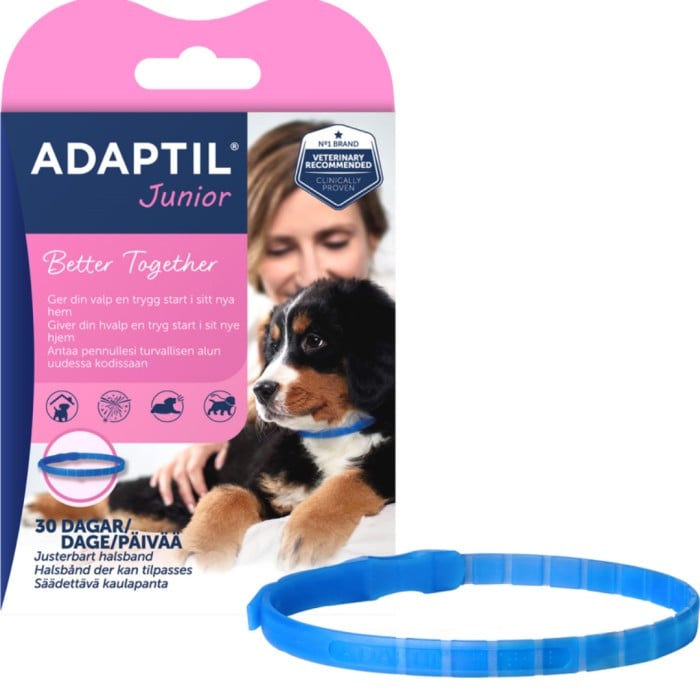 Adaptil - Calm Junior - Feromonhalsband 37,5 cm
