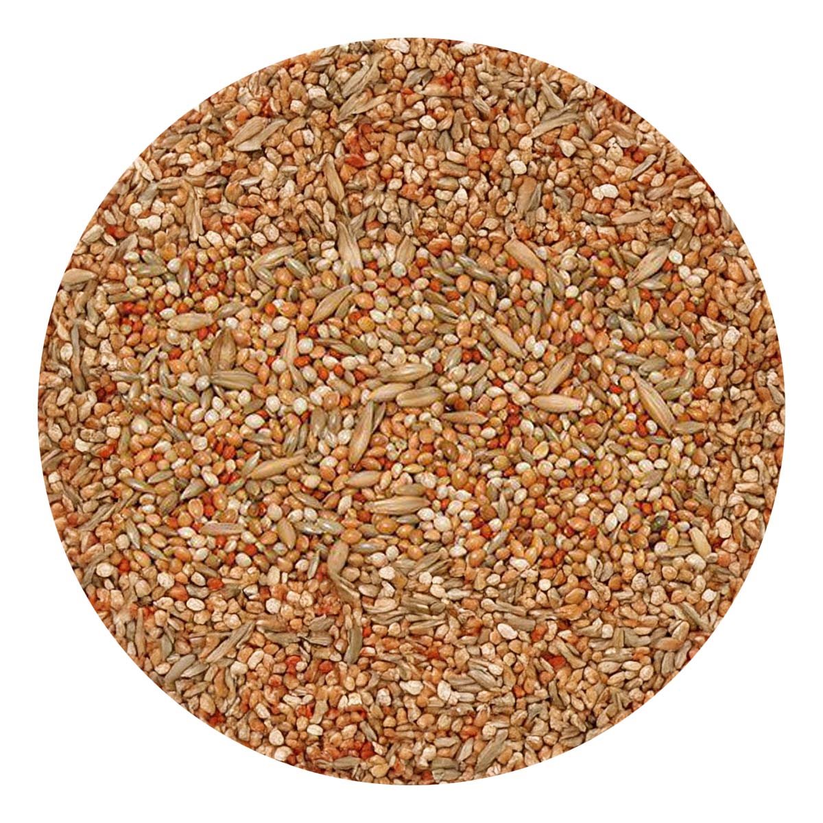 Bello - Undulatblandning, Premium - 1 kg