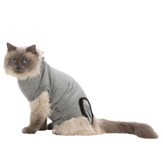 Trixie - Skyddande body för katt, M / L, grå