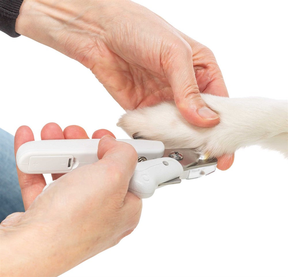 Trixie - Klotång med LED-ljus, 15 cm