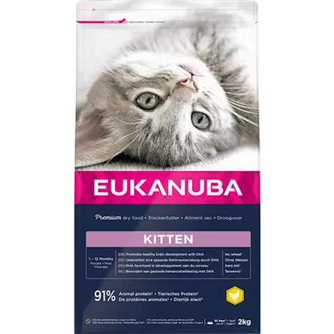 Eukanuba - Cat Kitten Healthy Start
