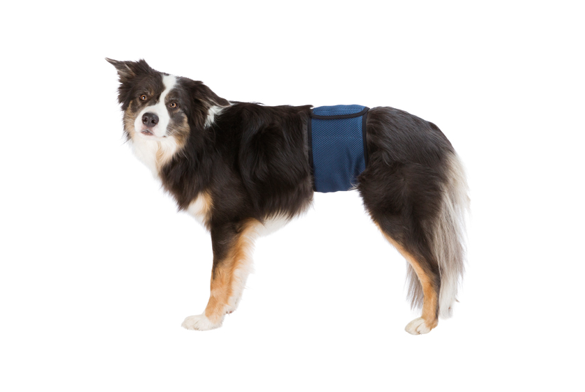 Trixie - Hanhundsskydd, S / M: 37-45 cm, mörkblå