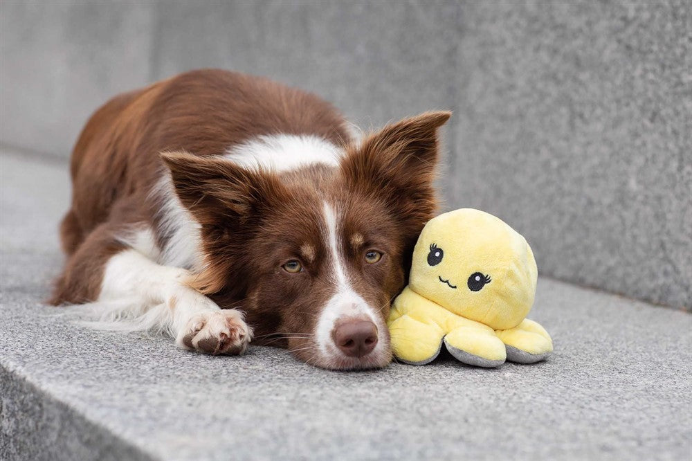 Trixie - Vändbar bläckfisk, plysch, 19 cm, grå/gul