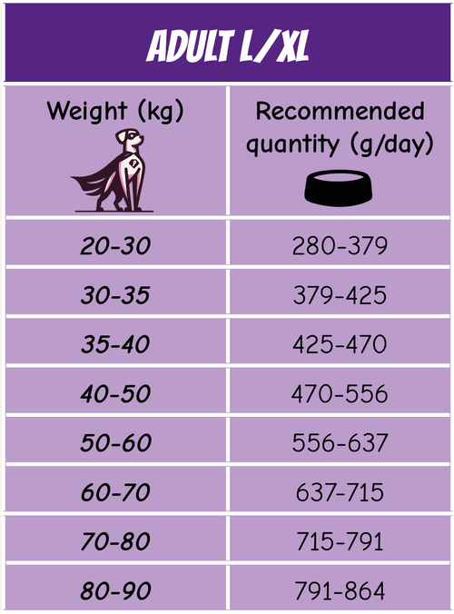 POW! Dog Adult L/XL Pork