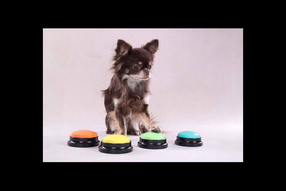 Inspelningsbar Knapp 8,8cm med hund