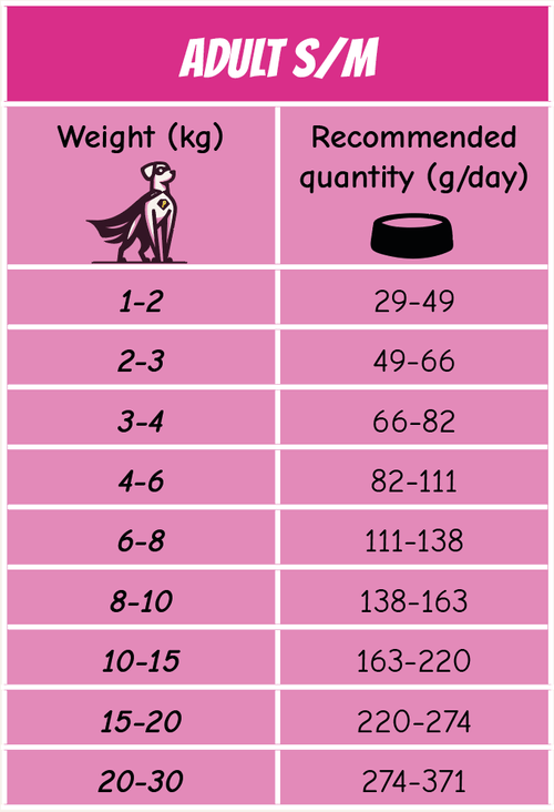 POW! Dog Adult Small/Medium Pork