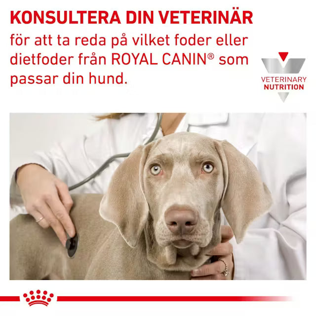 Royal Canin Derma Hypoallergenic Loaf Våtfoder Hund 200 g