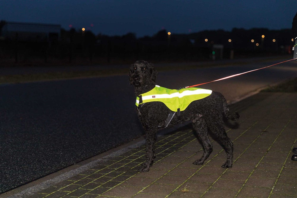 Trixie - Säkerhetsväst, reflex, L: 55 cm, gul