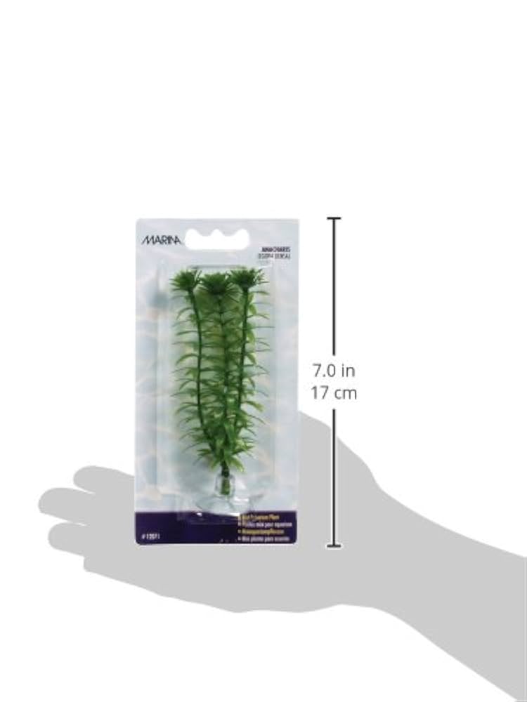 Marina - Plastväxt Anacharis Mini 10cm Med Sugkopp