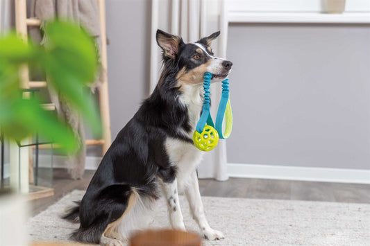 Trixie - Bungee Tugger med boll, ø 9/48 cm, petrol/lime