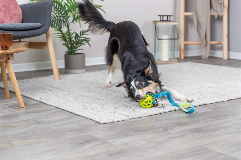 Trixie - Bungee Tugger med boll, ø 9/48 cm, petrol/lime