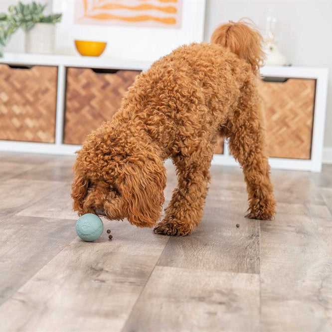 Trixie - Snacksboll, naturgummi, labyrint, ø 6 cm, grön