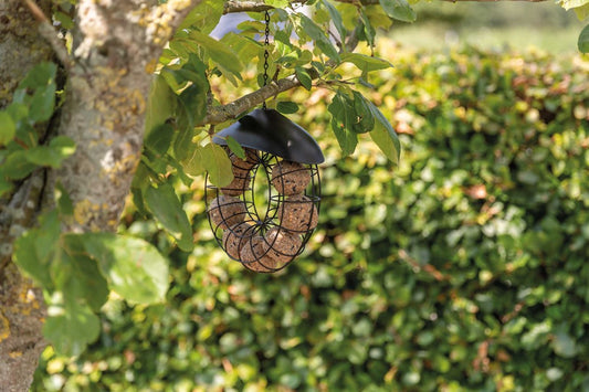 Trixie - Vildfågelmatare för talgboll, ø 24 × 8 cm, svart