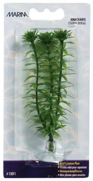 Marina - Plastväxt Anacharis Mini 10cm Med Sugkopp