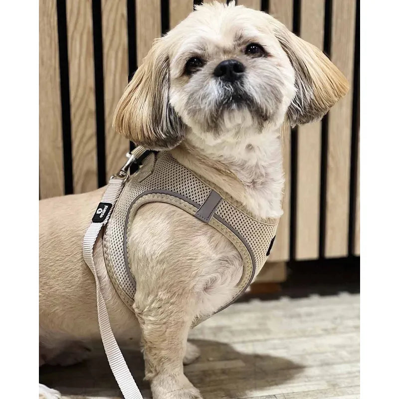 Ozami - Air-mesh Harness, Beige sele. Small