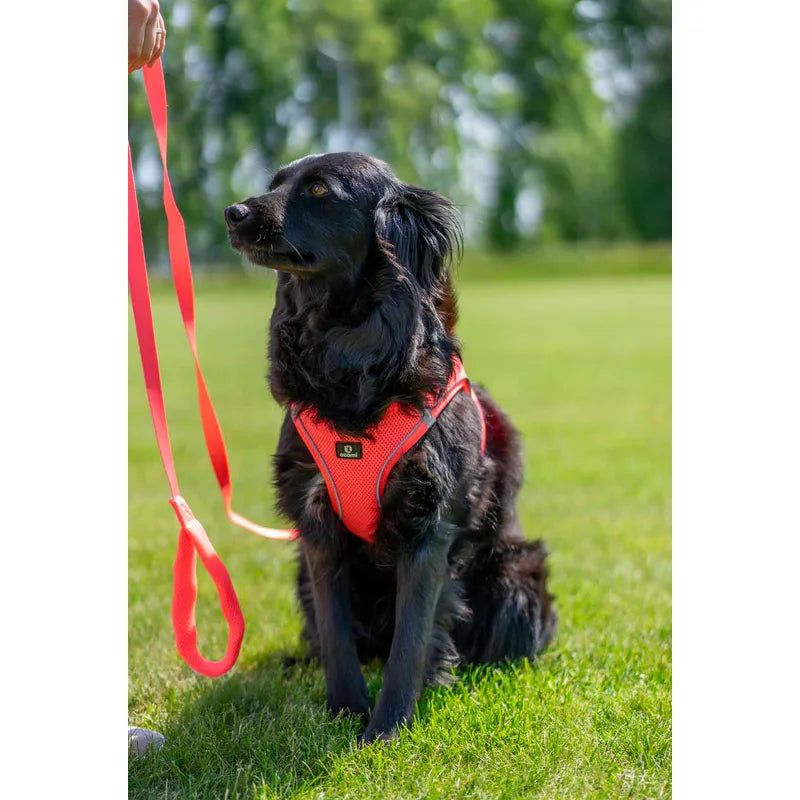 Ozami Air-mesh Koppel 180 cm, Rosa