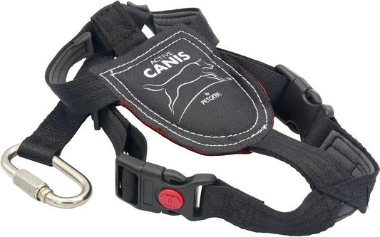 Activ Canis Bilsele, visning