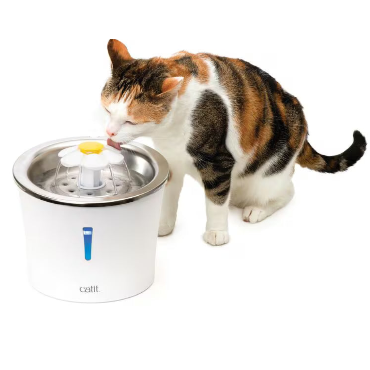 Catit  Flower Fountain Stainless Steel bild på katt