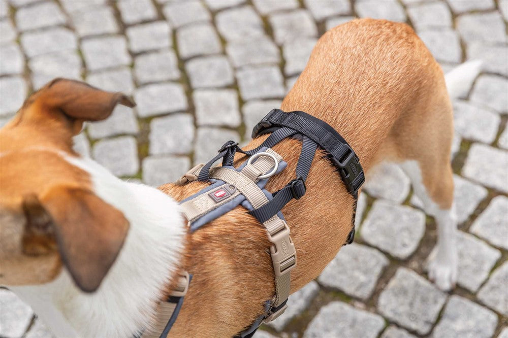 Trixie -  Stay Panic-adapter för sele, 3 st storlekar, Svart