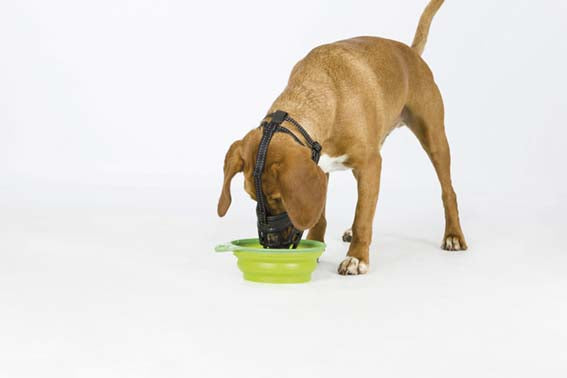 Trixie -  Munkorg Muzzle Flex, silicon S - M-L