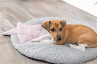 Trixie - Junior Dyna, 55 x 61 cm, grå/lila