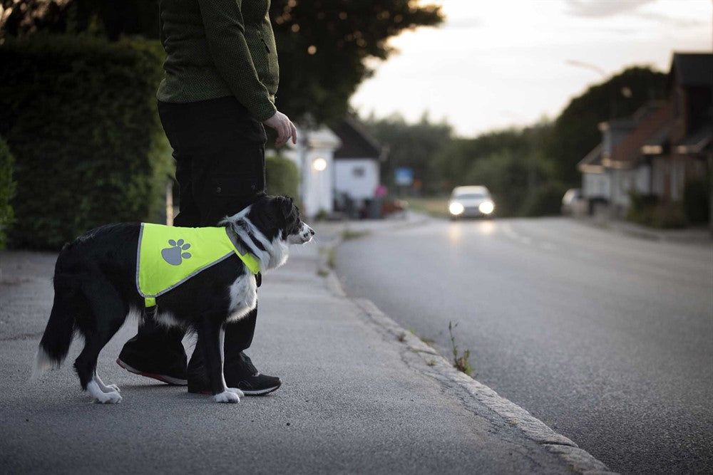 Trixie -  Säkerhetsväst m. tasstryck, reflex, L: 64-81 cm