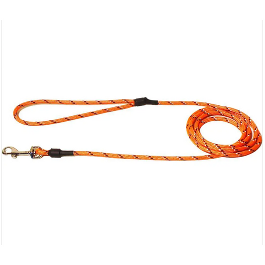 Alac - H Koppel dressyr Orange/reflex 180cm