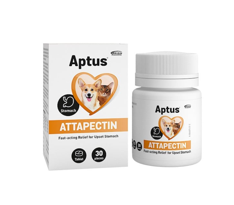 Aptus - Attapectin tabletter 30 st