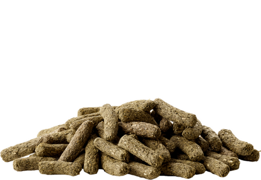  Versele-Laga - Chinchilla & Degu 500g