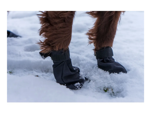 Ozami Dog Socks 4pcs Svarta, Medium - XLarge