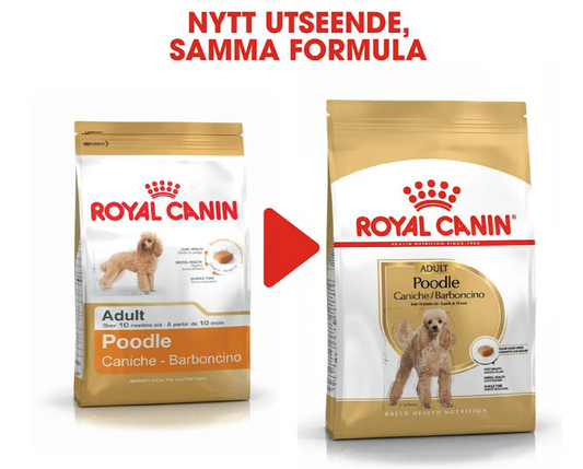 Royal Canin Poodle Adult