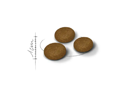 Royal Canin - FHN Fussy Torrfoder för katt