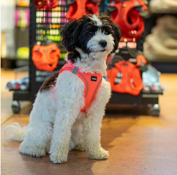 Ozami - Air-mesh Harness, Rosa sele. 3XSmall - XSmall