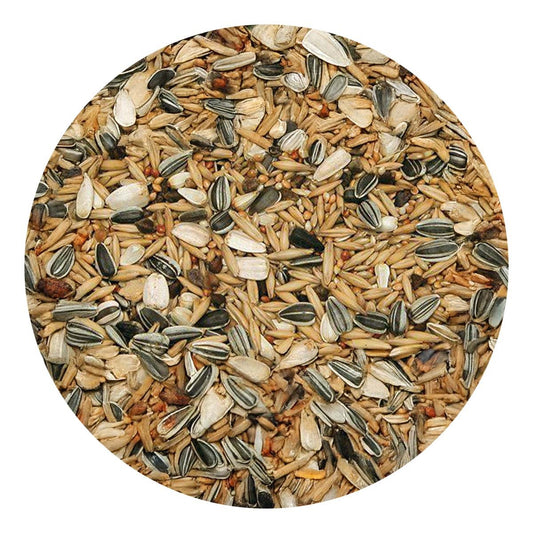 Bello - Parakitblandning, Premium - 1 kg