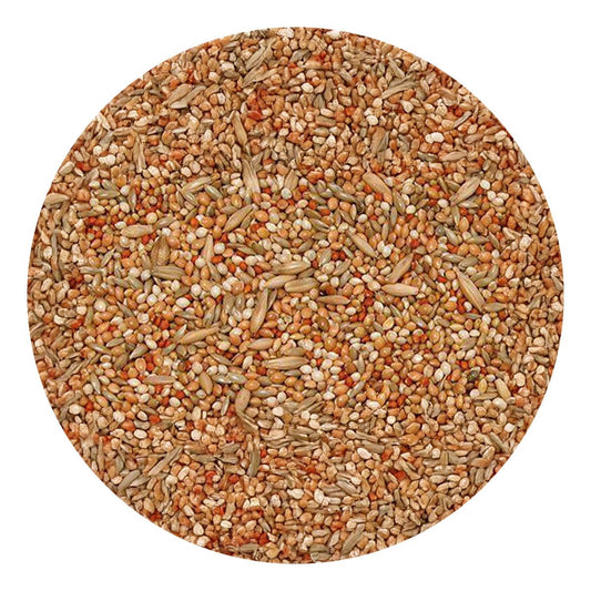 Bello - Undulatblandning, Premium - 1 kg