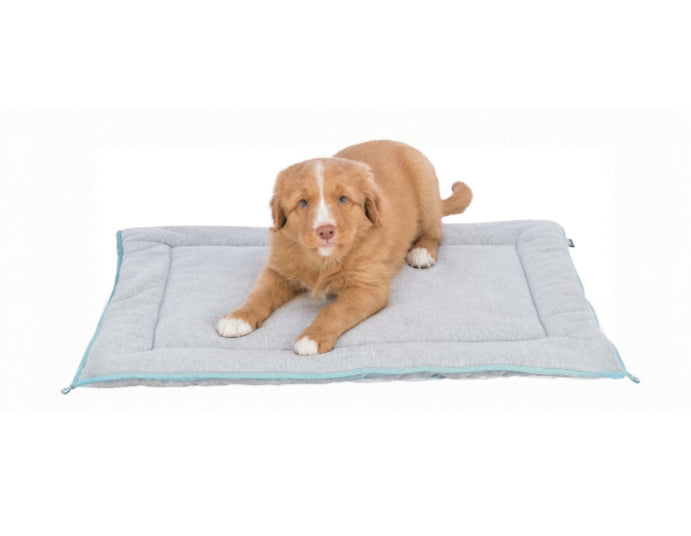 Trixie - Junior dyna, 70 × 50 cm, ljusgrå/mintgrön