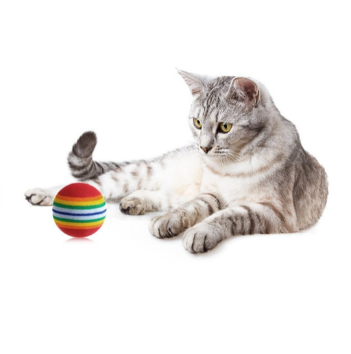 Regnbågsboll I Skum
